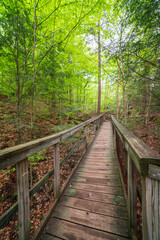 Obraz premium The High Falls Gorge in the Adirondacks, Upstate New York