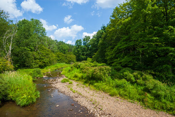 Fototapeta na wymiar A Stream at Allegany State Park, New York, USA