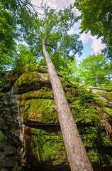 Fototapeta premium Thunder Rocks at Allegany State Park in New York State