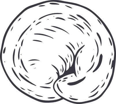 recommend clip art: Dumpling. Hand drawn traditional cuisine food in monochrome sketch style. Vector illustration.