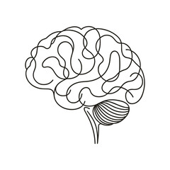 Continuous line art of brain. Simple line art isolated. Vector illustration