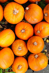 Many pumpkins of different shapes and colors, stacked.