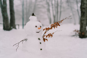 Smiling snowman in a hat with a carrot nose and twig-hands in a snowy park