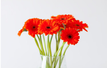 Bouquet of beautiful gerbera flowers. Minimalist floral background.