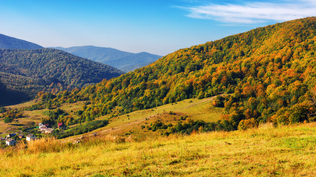 grassy meadow on the hill. mountainous countryside scenery in autumn. deciduous forest in fall colors