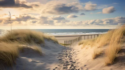  Dune beach at the North Sea © Fareeha