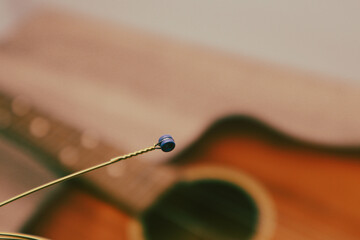 New acoustic guitar strings, pick on guitar. Strings for a classical guitar are prepared