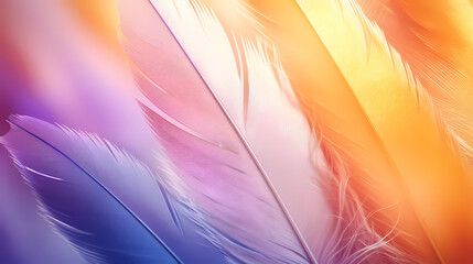 Feather Art PPT Background Poster Wallpaper Web Page