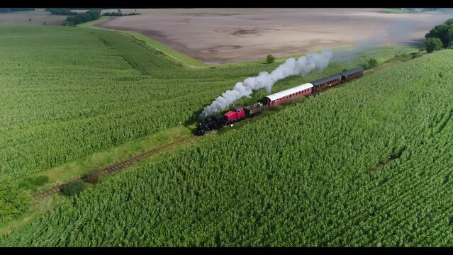 Angelner steam railway near Scheggerott, Schleswig-Holstein, Germany, Europe