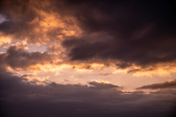 sunset in the clouds