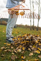 cropped view of man cleaning fallen leaves from lawn with broom in yard