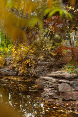 Obraz na płótnie Canvas Reservoir pond in the autumn garden