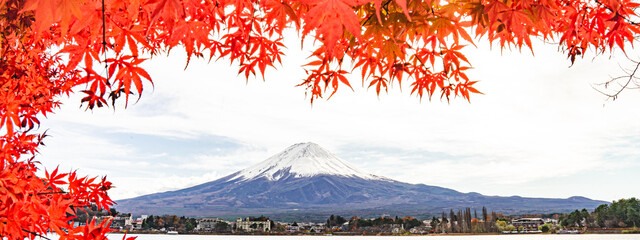 a colorful of maple red leaf in autumn with the fuji mountain and cloudy sky at the Kawaguchiko...