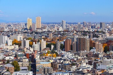 Fototapeta na wymiar Tokyo city Japan