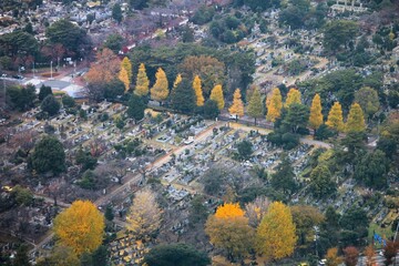 Tokyo Aoyama Cemetery