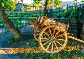 typical old vintage wooden sicilian carriage on green background