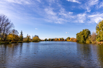 Autumn landscape near the lake on a sunny day