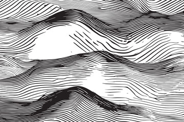 black and white texture vector image