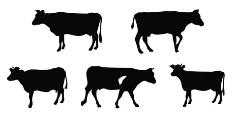 Silhouettes of cows. Cow silhouettes set. Vector illustration
