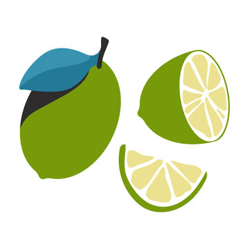 Lime whole and slice vector cartoon set isolated on a white background.