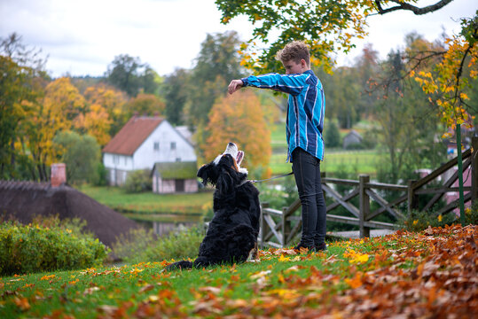 Outdoor portrait of boy with bernese mountain  dog in autumn. Friendship of teenager with pet.