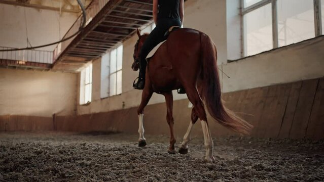 Woman rides brown horse running along indoor sports manege