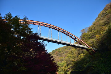 bridge  between autumn leaves
