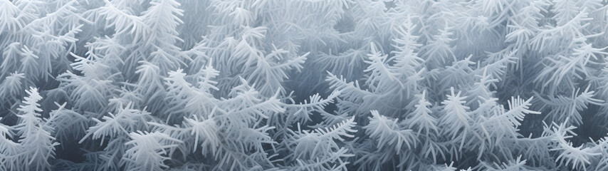 Fir branches covered with frost abstract background. Horizontal composition, banner.