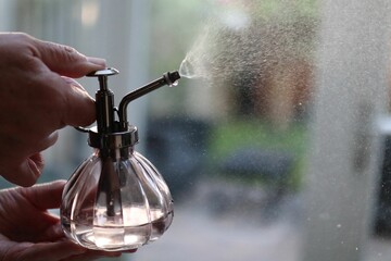 Image of a person's hands spritzing water from a sprayer