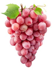 Bunch of pink table grapes with grape leaves isolated on a white background.