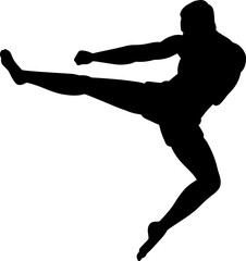 kung fu karate player silhouette