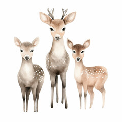 Christams Set of Deer Watercolor Animal Characters Isolated on White Background.  - SCANDI - Watercolour Collection { No4 } - cute folk art illustration. Generative AI.