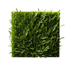 Green grass field isolated on a transparent background