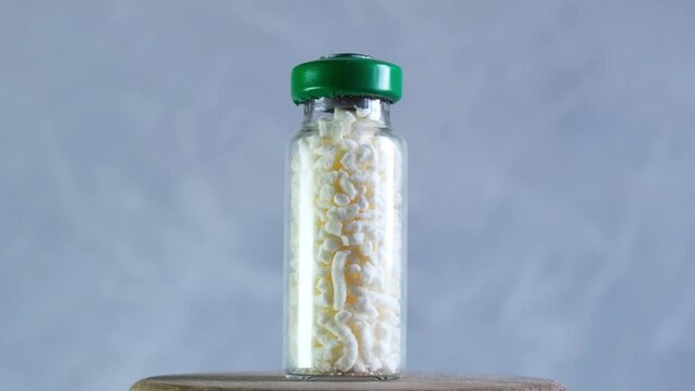 Royal jelly granules in glass flask. Natural multivitamin complex. Honey bee secretion used in apitherapy. Royal jelly contains trace minerals, antibacterial and antibiotic components.