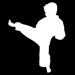 silhouette of a karate kid