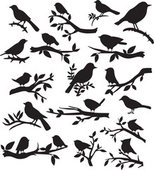 Set of bird and twig silhouette. Birds on a branch Vector illustration