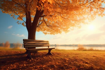Autumn woods with a park bench and beautiful Fall foliage colors. Autumn seasonal concept. - obrazy, fototapety, plakaty