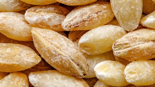 Pearl barley raw spindle-shaped grains, in bulk, moving sideways, close-up macro, top view
