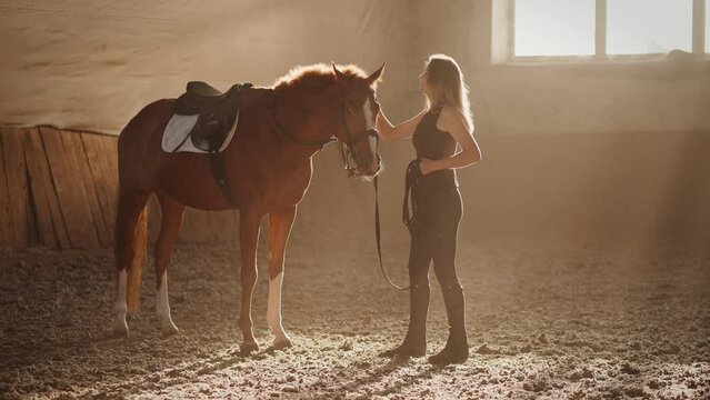 Loving owner stokes and hugs dedicated horse in sunlight