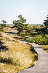 Wooden walkway through the dunes of Darsser Ort on German peninsula Darss on a sunny day