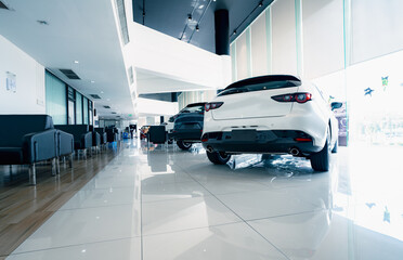 Rearview car parked in luxury showroom. Car dealership office. New car parked in modern showroom....