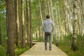 Young adult man walking on wooden trail at birch tree forest in beautiful autumn day. Spending time alone and enjoying freedom at nature. Back view. Peaceful atmosphere in nature. - obrazy, fototapety, plakaty