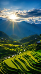 Green terraced rice field at sunset in Mu Cang Chai, YenBai, Vietnam, Countryside, Peaceful nature landscape