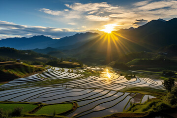 Panorama view of terraced rice field at sunset in Sapa, Lao Cai, Vietnam, Countryside, Peaceful nature landscape