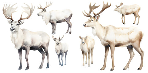 white reindeer watercolor illustration clipart. Generative AI