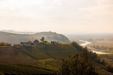 vineyards near Barbaresco with Tanaro, Piedmont in autumn