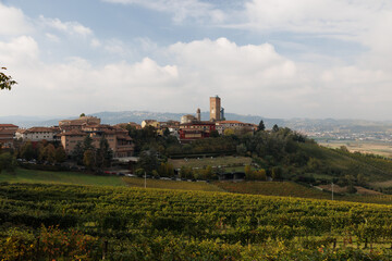 Fototapeta na wymiar vineyards near Barbaresco, Piedmont in autumn