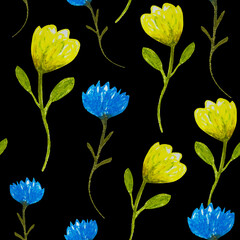 Seamless pattern with yellow and blue flowers of Cornflower (Centaurea cyanus), flowers as a color symbol of the flag of Ukraine.  - 673809915