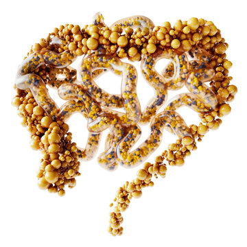 Food Allergy Due to Changes in Gut Flora - 3D Rendering