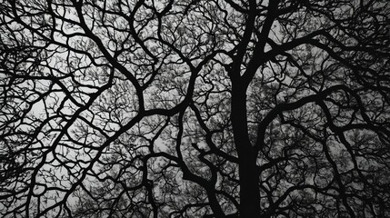 Background and texture patterns